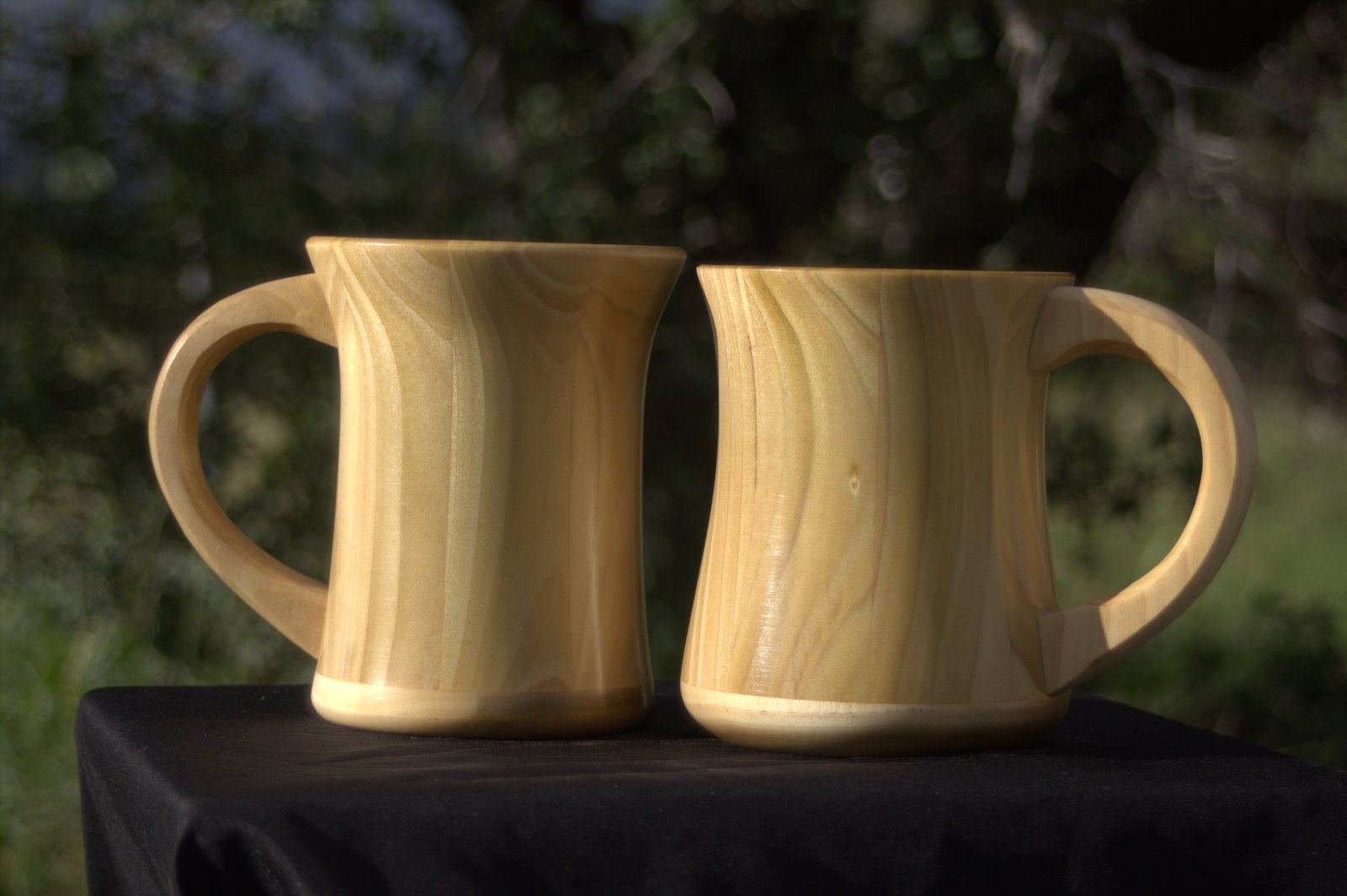 Poplar